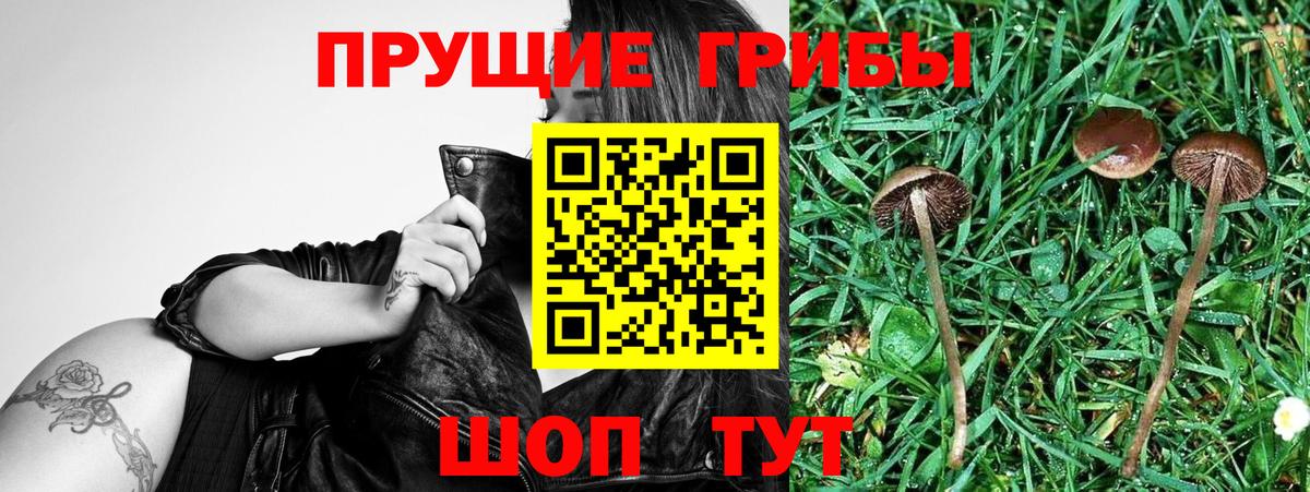Галлюциногенные грибы Magic Shrooms Калуга